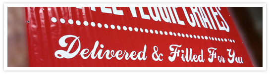 Vinyl Banners